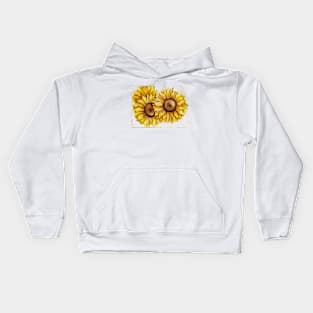 sunflowers in a golden frame Kids Hoodie